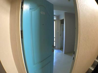 روف ویوو پلیس