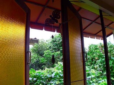 روف ویوو پلیس