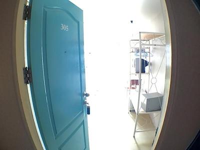 روف ویوو پلیس