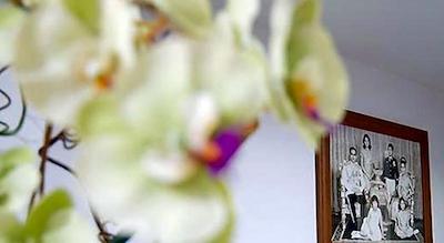 روف ویوو پلیس