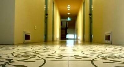 روف ویوو پلیس