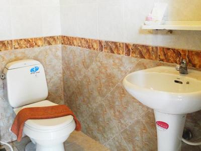 پلاتینوم پلیس