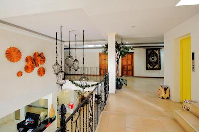 او وای او 254 رویال پیماند