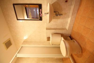 او وای او 482 پنی لاج کائوسان