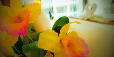 سامر تری هتل