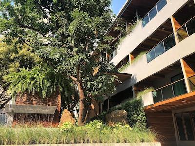 سالولایف هتل