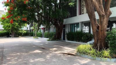 پاناوارا ریسورت