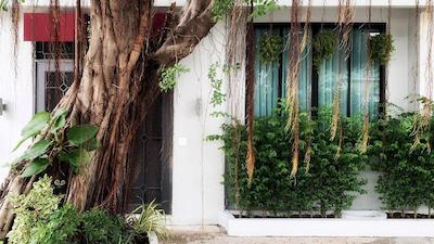 پاناوارا ریسورت