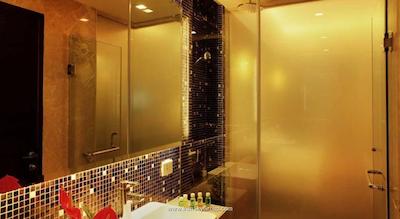 متروپولیتن هتل اند اسپا