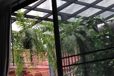 د سیلور استاگ 5 مینز بی تی اس 9 مینز جی مارکت