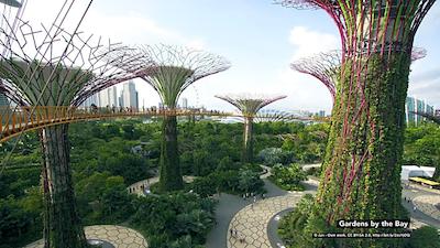 سنگ واه هتل