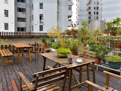 شانگهای بلو ماونتین باند یات هاستل