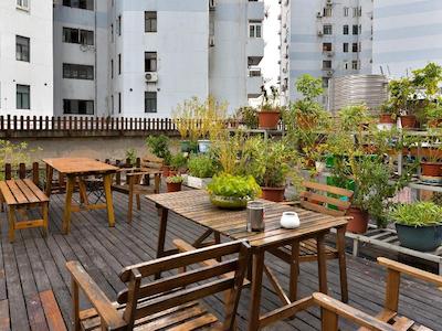 شانگهای بلو ماونتین باند یات هاستل