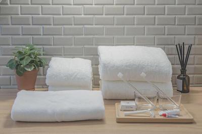 تولو فاکسینگ