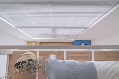 تولو فاکسینگ