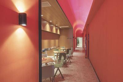 تولو فاکسینگ