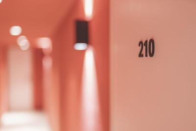 تولو فاکسینگ