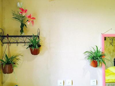 ییه یوان هاستل