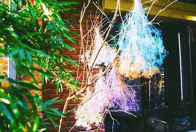 ییه یوان هاستل