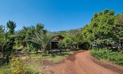 لیکیا یانارتاس بانگالوز