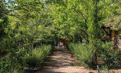 لیکیا یانارتاس بانگالوز