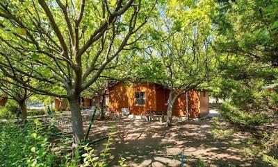 لیکیا یانارتاس بانگالوز