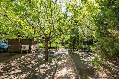 لیکیا یانارتاس بانگالوز