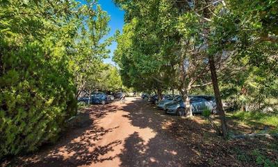 لیکیا یانارتاس بانگالوز