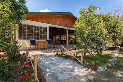 لیکیا یانارتاس بانگالوز