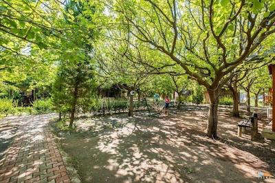 لیکیا یانارتاس بانگالوز