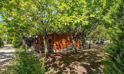 لیکیا یانارتاس بانگالوز