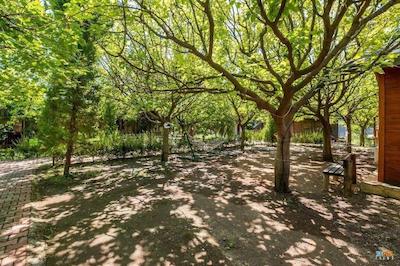 لیکیا یانارتاس بانگالوز