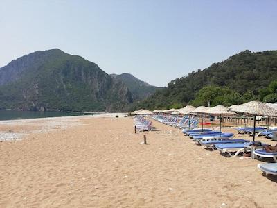 لیکیا یانارتاس بانگالوز