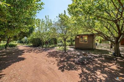 لیکیا یانارتاس بانگالوز