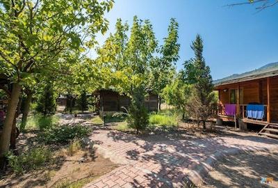 لیکیا یانارتاس بانگالوز