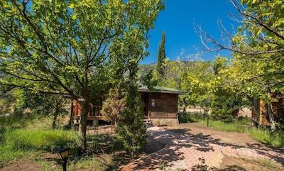 لیکیا یانارتاس بانگالوز