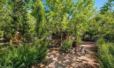 لیکیا یانارتاس بانگالوز