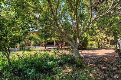 لیکیا یانارتاس بانگالوز