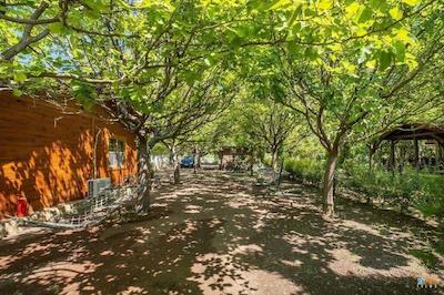 لیکیا یانارتاس بانگالوز