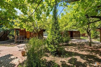 لیکیا یانارتاس بانگالوز