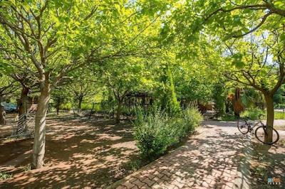 لیکیا یانارتاس بانگالوز