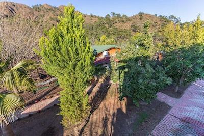 لیکیا یانارتاس بانگالوز