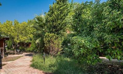 لیکیا یانارتاس بانگالوز