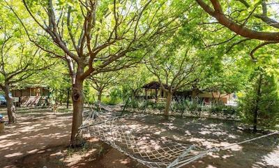 لیکیا یانارتاس بانگالوز