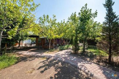 لیکیا یانارتاس بانگالوز