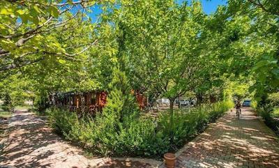 لیکیا یانارتاس بانگالوز