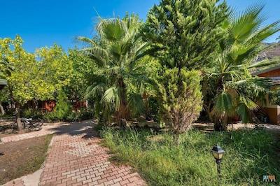 لیکیا یانارتاس بانگالوز