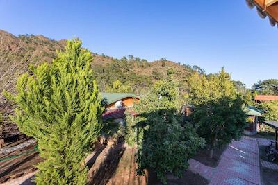 لیکیا یانارتاس بانگالوز