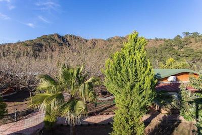 لیکیا یانارتاس بانگالوز