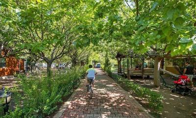 لیکیا یانارتاس بانگالوز